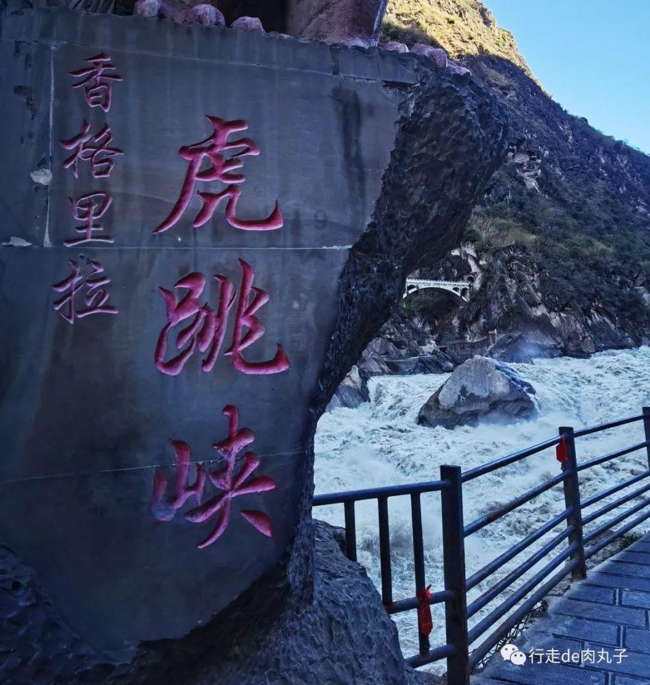 宝宝刚会爬，适合吃什么？
